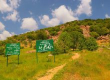 پنجمین جشنواره جنگل بلوط روستای سرسختی‌علیا شازند برگزار شد