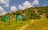 پنجمین جشنواره جنگل بلوط روستای سرسختی‌علیا شازند برگزار شد