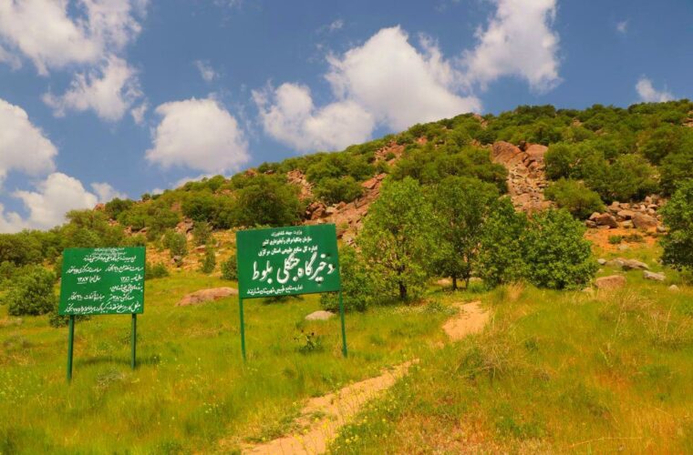 پنجمین جشنواره جنگل بلوط روستای سرسختی‌علیا شازند برگزار شد