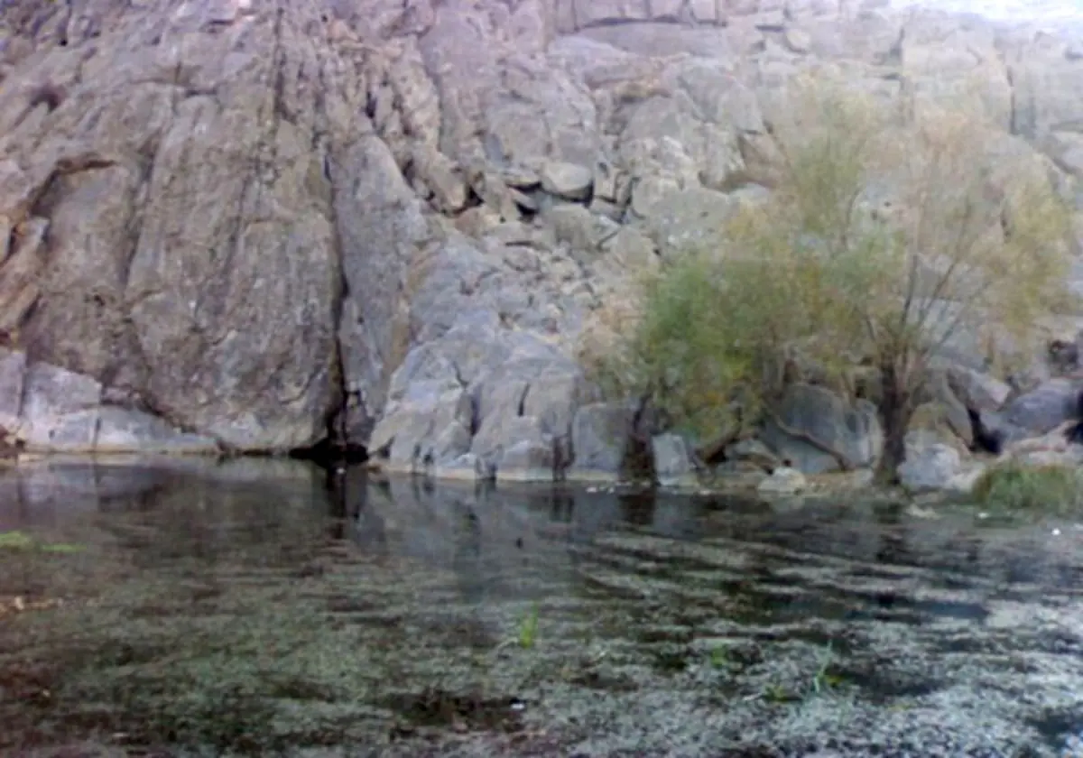 تعیین تکلیف کمپ گردشگری «بلاغ حک» شازند در جلسه مشترک اداره کل میراث فرهنگی و فرمانداری شهرستان