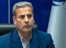 دولت برای جلوگیری از تبدیل گندم به خوراک دام نرخ خرید تضمینی را اصلاح کند