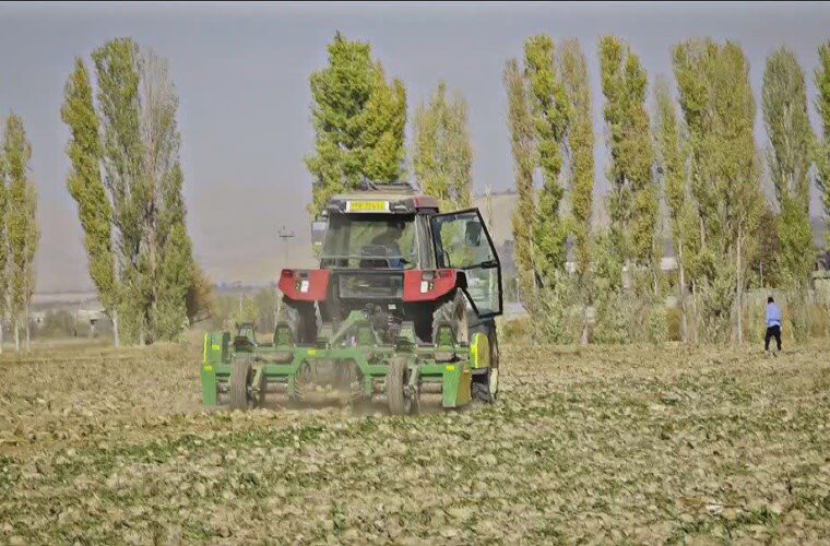 چغندر قند؛ محصول کم‌آب و اقتصادی در مسیر توسعه کشاورزی شازند