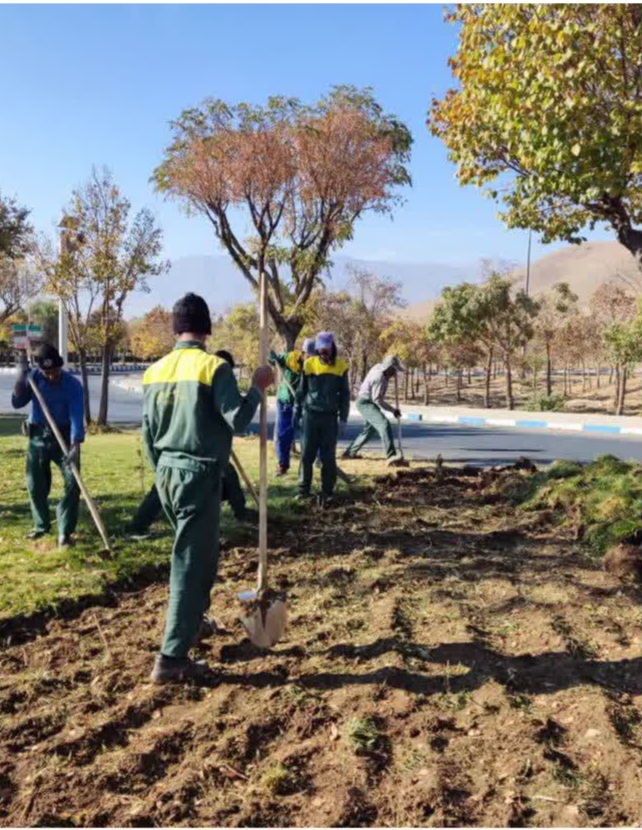 مهاجران به استقبال فضای سبز پایدار؛ گیاهان مقاوم جایگزین چمن‌های پرمصرف شدند