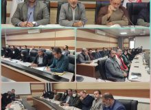 نهمین جلسه کارگروه امور اجتماعی، فرهنگی، سلامت، زنان و خانواده شازند برگزار شد