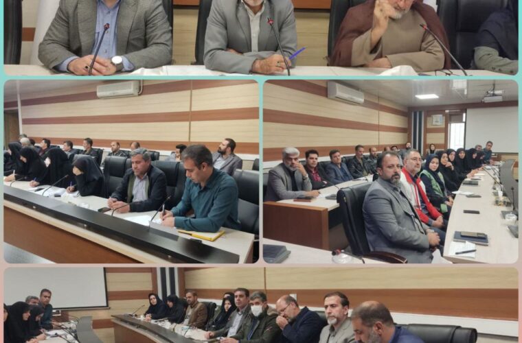 نهمین جلسه کارگروه امور اجتماعی، فرهنگی، سلامت، زنان و خانواده شازند برگزار شد