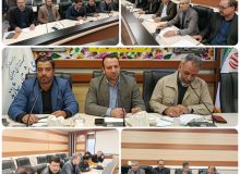 ارزیابی روند استقرار سامانه‌های پایش تصویری و فیبر نوری در شازند