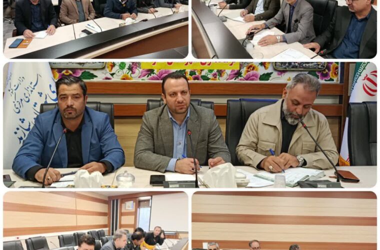 ارزیابی روند استقرار سامانه‌های پایش تصویری و فیبر نوری در شازند