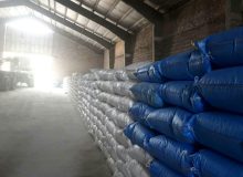 تامین و تحویل بیش از ۶۸۲۰ تن انواع کودهای کشاورزی، منطقه شازند و سربند در هشت ماهه سال جاری