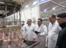 بازدید مشترک دامپزشکی و دستگاه‌های اجرایی از کشتارگاه طیور شازند