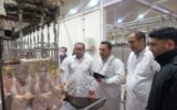 بازدید مشترک دامپزشکی و دستگاه‌های اجرایی از کشتارگاه طیور شازند