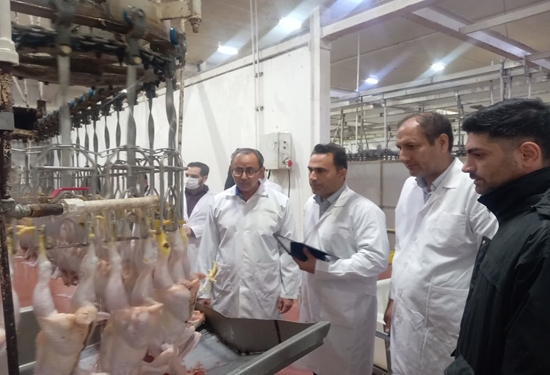 بازدید مشترک دامپزشکی و دستگاه‌های اجرایی از کشتارگاه طیور شازند