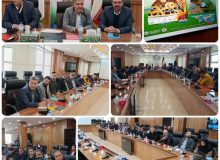 دهمین جلسه کاروان ترویج بهره‌وری کشاورزی به مناسبت روز جهانی خاک در شازند برگزار شد