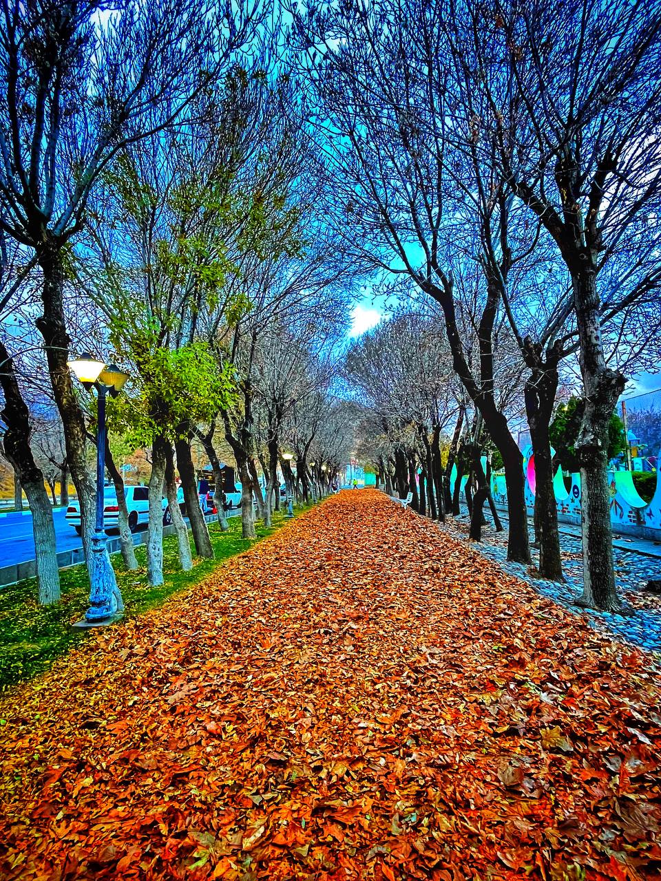 محبوب‌ترین ایده پاییزی سال قبل، امسال چرا اجرا نشد؟