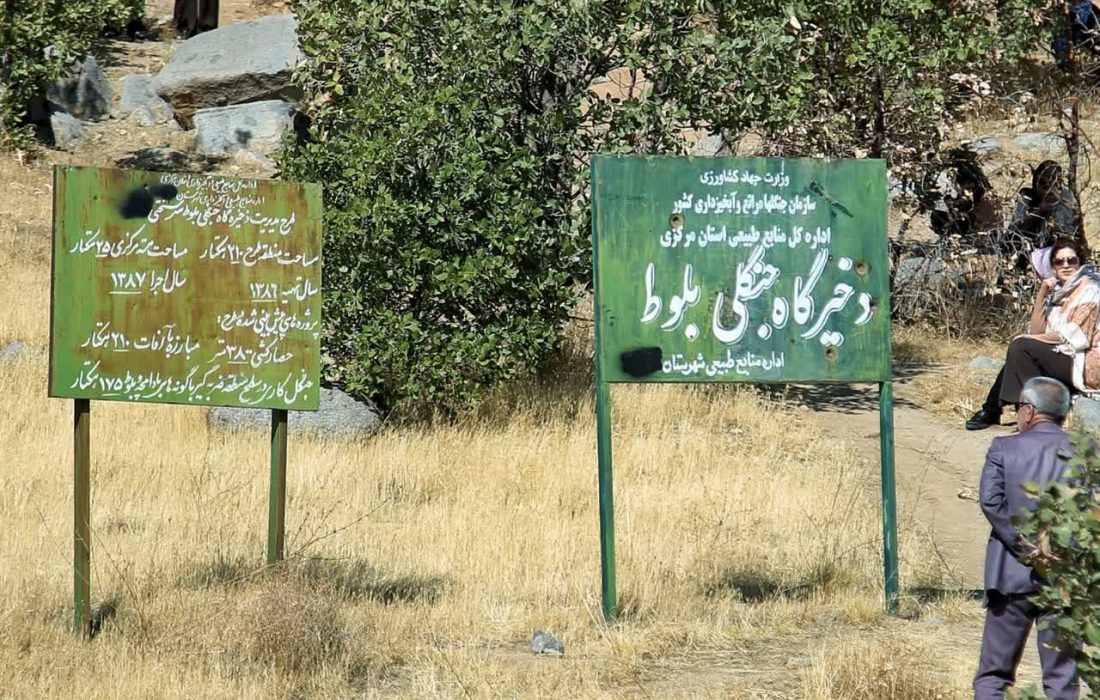  زخمی بر چهره تاریخ و طبیعت؛ وقتی بی‌فرهنگی با اسپری مشکی بر تن «شازند» کشیده می‌شود