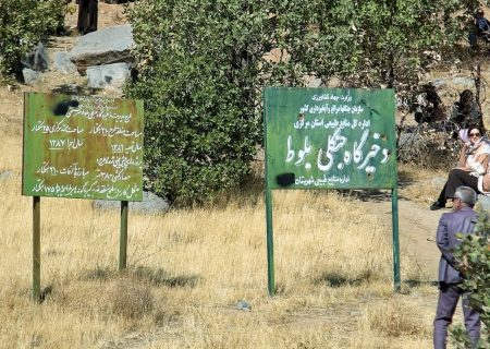  زخمی بر چهره تاریخ و طبیعت؛ وقتی بی‌فرهنگی با اسپری مشکی بر تن «شازند» کشیده می‌شود